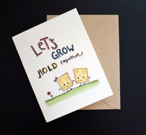 Cheesy Valentines Day Card for Elsie J